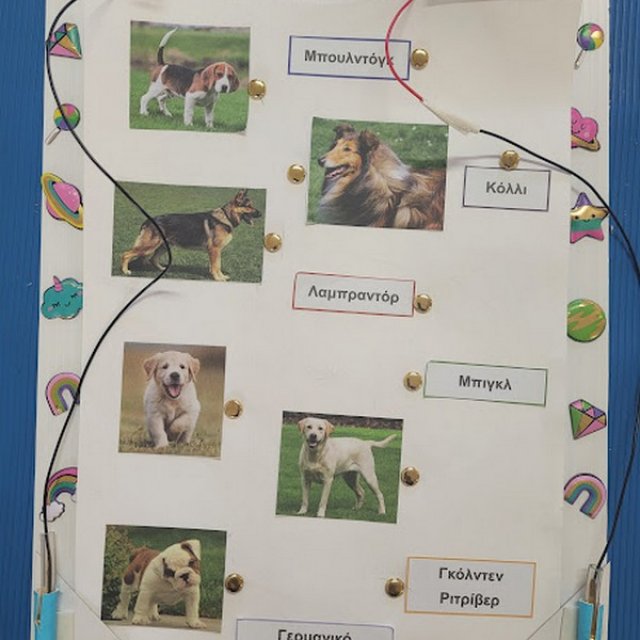 Παντογνώστης (Ηλεκτρισμός)